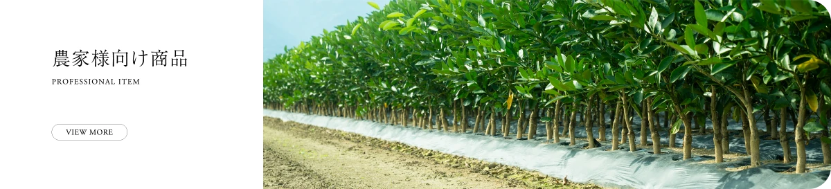 柑橘苗商品一覧