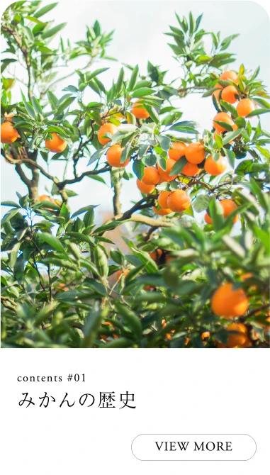 みかんの歴史