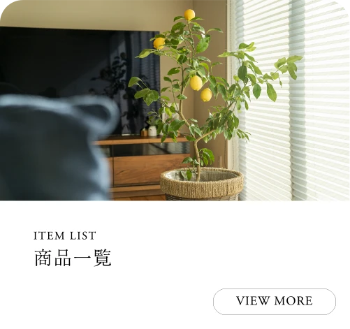 柑橘苗商品一覧