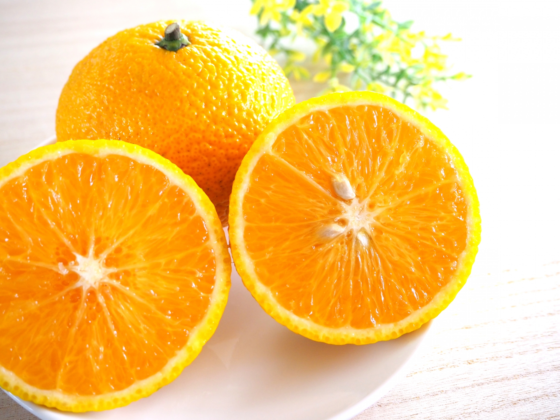 スイートスプリング(素掘り苗)