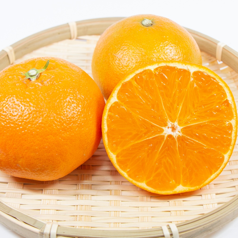 あすみ(素掘り苗)