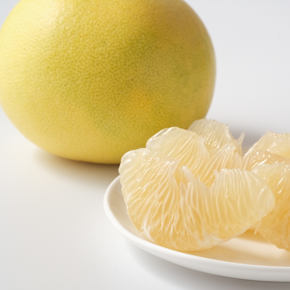 土佐文旦(素掘り苗)