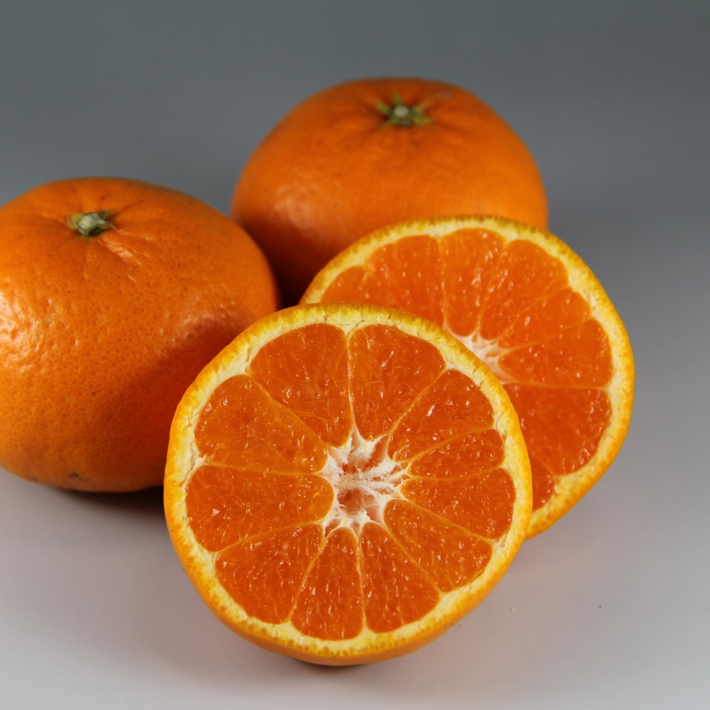 はれひめ(素掘り苗)