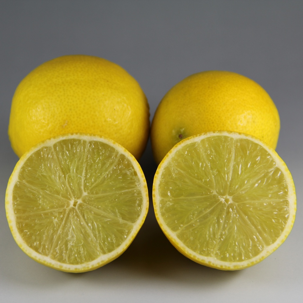 タヒチライム(素掘り苗)