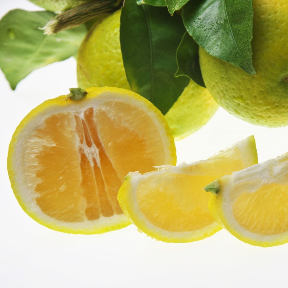 カボス(素掘り苗)